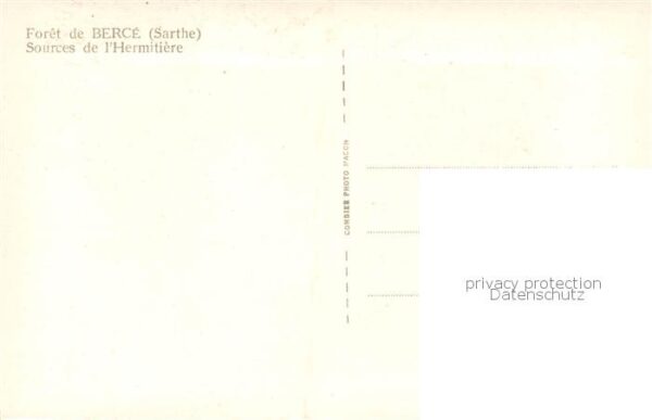 Berce Foret de Jupilles 72 Sarthe Sources de l_Hermetiere – Bild 2