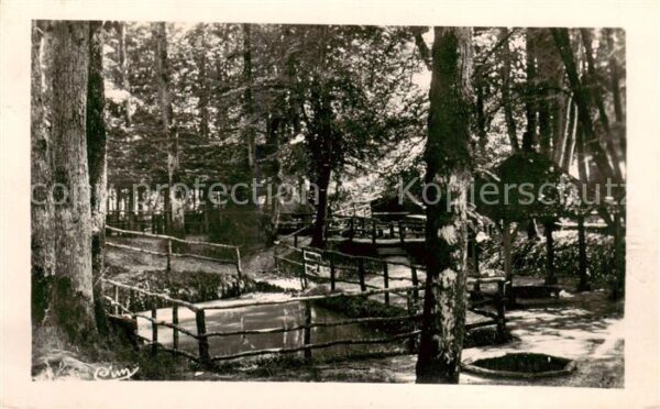Berce Foret de Jupilles 72 Sarthe Foret de Berce Sources de l_Hermitiere