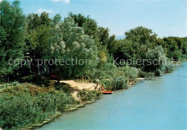 Roquebrune-sur-Argens 83 Var Sur les bords de l’Argens Canotage Pech