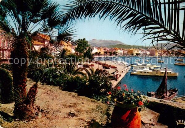 Sanary-sur-Mer 83 Une echappee sur le Port