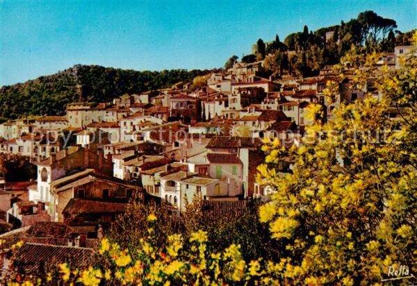 Bormes-les-Mimosas 83 Var Le bourg superieur et au faite de la co