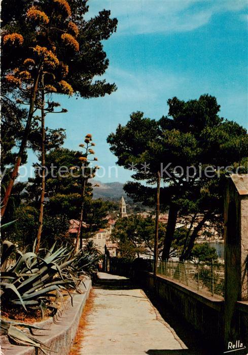 Sanary-sur-Mer 83 Echappee entre les pins