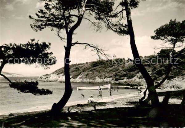 Ile de Port-Cros 83 Var La Plage du Sud