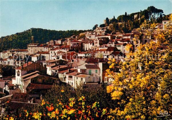 Bormes-les-Mimosas 83 Var Le bourg superieur et au faite de la co