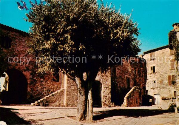 Parages Les Arcs-sur-Argens 83 Var Place des Micoucouliers