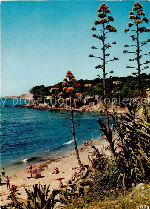 Sanary-sur-Mer 83 Un coin de la Plage de Port Issol et la