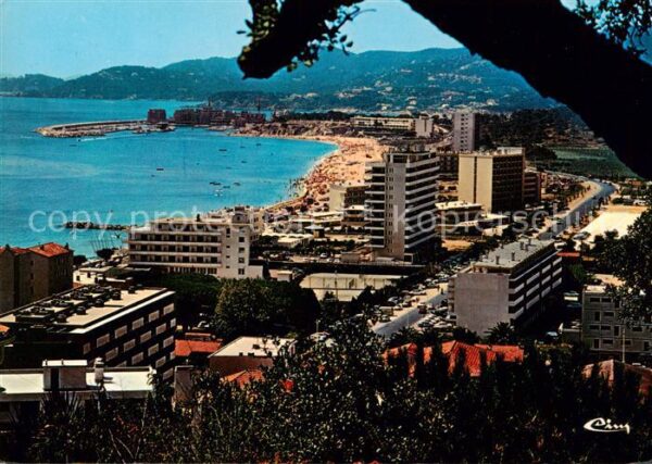 Le Lavandou Vue generale Au fond le Port de Bormes