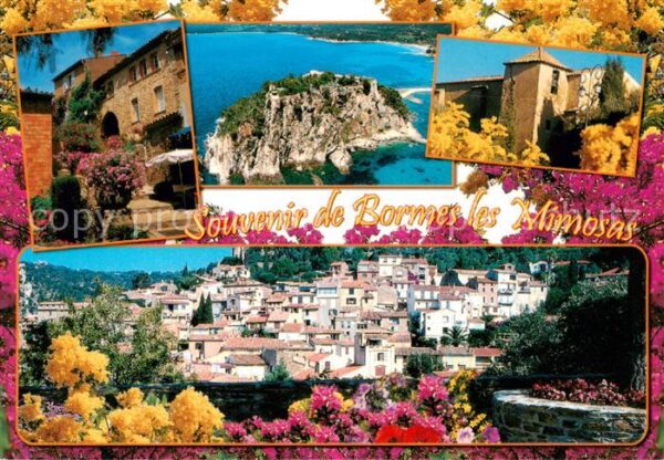 Bormes-les-Mimosas 83 Var Vue partielle