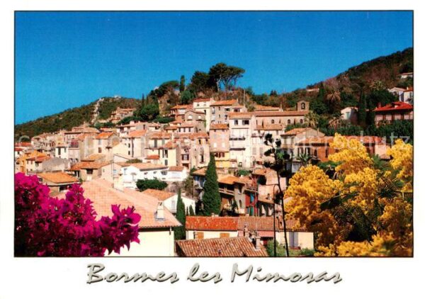 Bormes-les-Mimosas 83 Var Vue d_ensemble