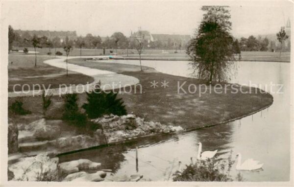 Tourcoing 59 Le Jardin Public Le Lac aux Cygnes