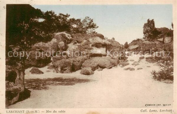 Larchant 77 Seine-et-Marne Mer du sable