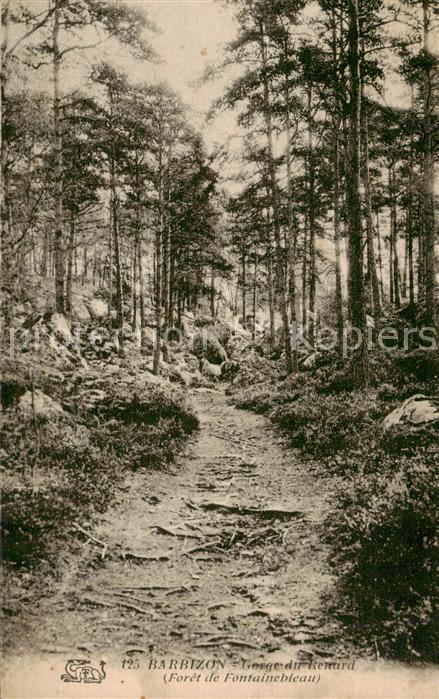 Fontainebleau 77 Seine et Marne Barbizon Gorge du Renard Foret de Fonta