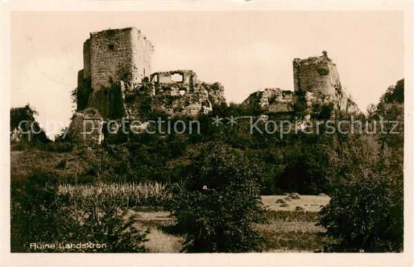 Ruine Landskron Motiv