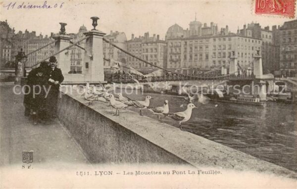 Lyon France Les Mouettes au Pont La Feuille