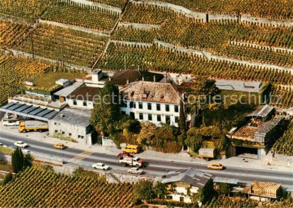 Treytorrens VD Domaine Jean et Pierre Testuz Vue aerie