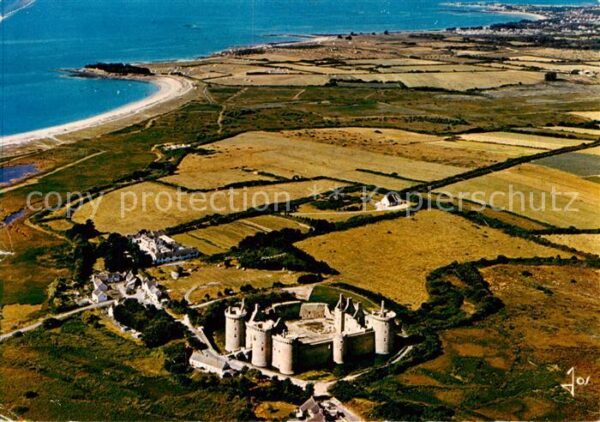 Rhuys Presqu Ile de 56 Morbihan Chateau de Suscinio vue aérienne