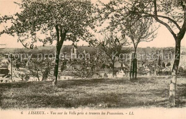 Lisieux 14 Vuesur la Ville pris a travers les Pomm