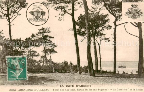 Le Moulleau 33 Forêt des Abatilles Route du Tir aux Pi