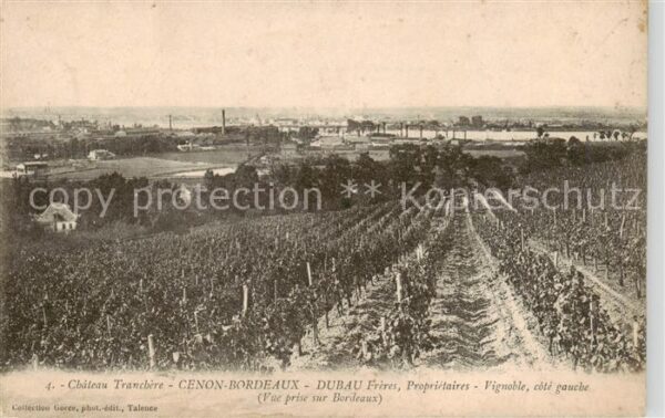 Cenon Bordeaux 33 Gironde Chateau Tranchere Dubau Freres Propriet