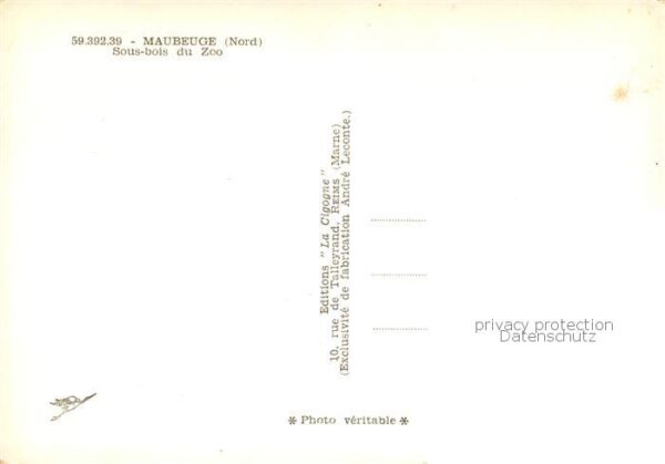 Maubeuge 59 Sous bois du Zoo – Bild 2