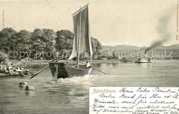 Zuerichhorn ZH Panorama Dampfer Segelboot