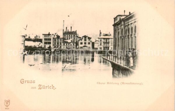 Zuerich ZH Oberer Mühlesteg Mövenfütterung