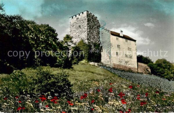 Habsburg Schloss AG Schloss Habsburg