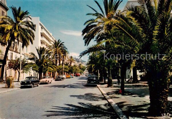 Hyeres-les-Palmiers 83 Var Avenue Gambetta
