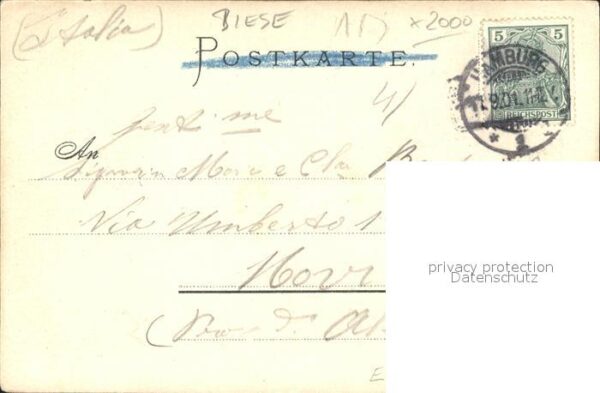 Biese Carl Karl Botanischer Garten mit Post Hamburg – Bild 2