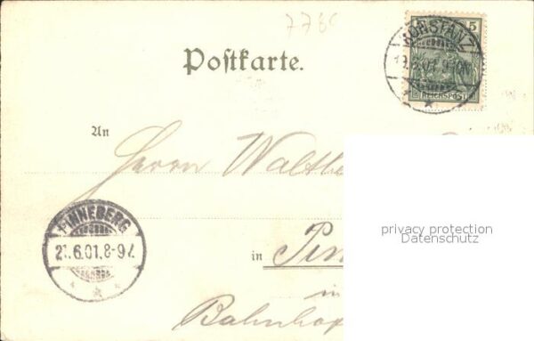 Vermenschlicht Frösche Dirigent Gesang Chor Konstanz L – Bild 2