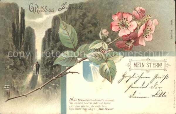 Blumen Gedicht Mein Stern Litho