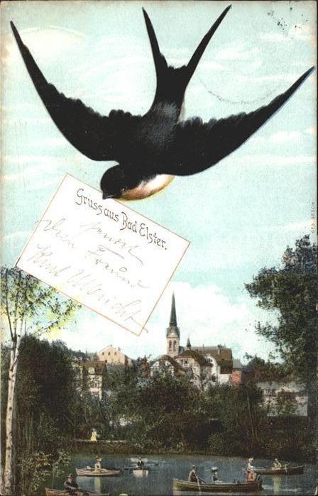 Schwalbenkarte Bad Elster