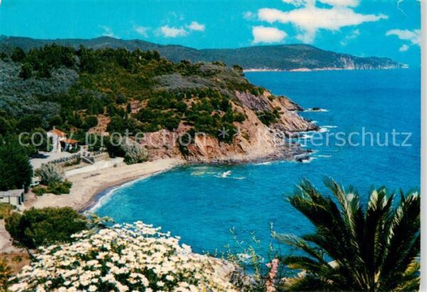 Antibes 06 Alpes Maritimes Calanque et vegetations Méditerranéenes