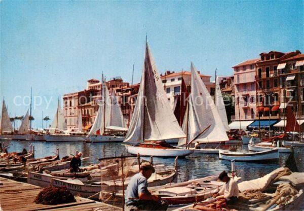 Cannes 06 Le vieux port