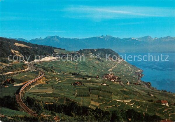 Lavaux  VD Panorama Genfersee Alpen