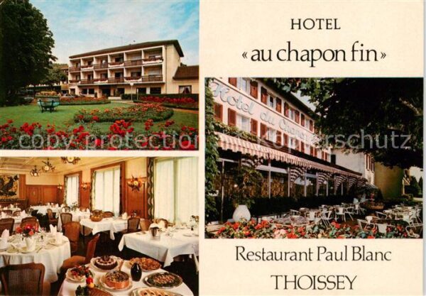 Thoissey 01 Ain Hotel Au Chapon Fin Gastraum Terrasse