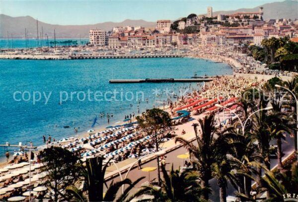 Cannes 06 Les Plages le Port et le Suquet Au loin
