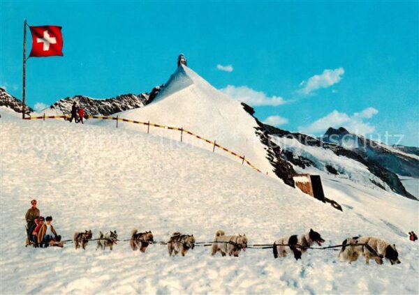 Berner Oberland Jungfraujoch mit Polarhunden