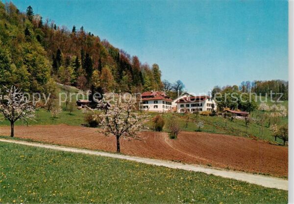 Ormalingen Restaurant Farnsburg