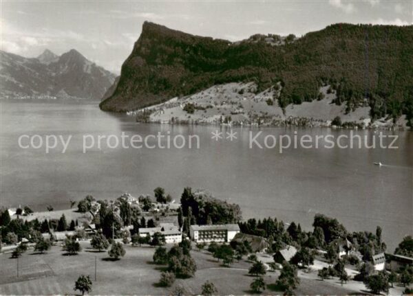 St Chrischona Kastanienbaum am Vierwaldstättersee mit