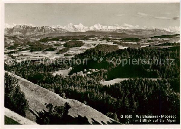 Waldhaeusern Moosegg AG mit Blick auf die Alpen