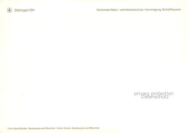 Siblingen Panorama – Bild 2