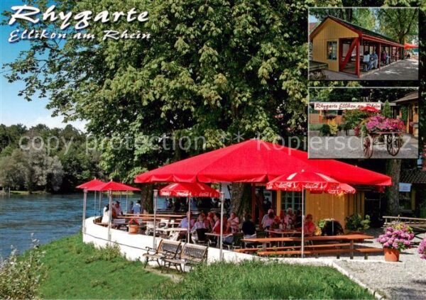 Ellikon Rhein Rhygarte Ellikon Gartenrestaurant Terra