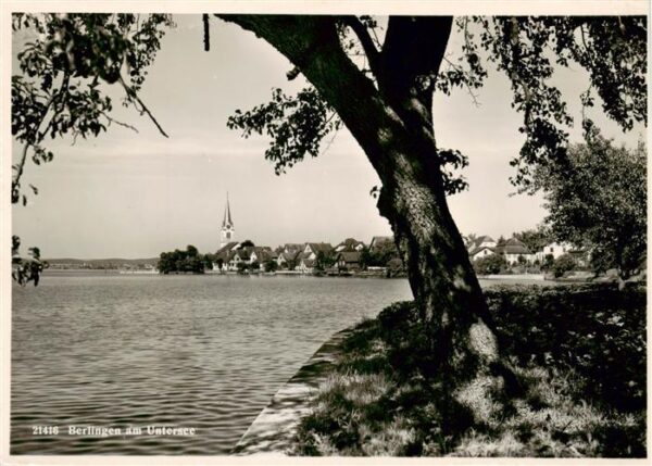 Berlingen Untersee Panorama