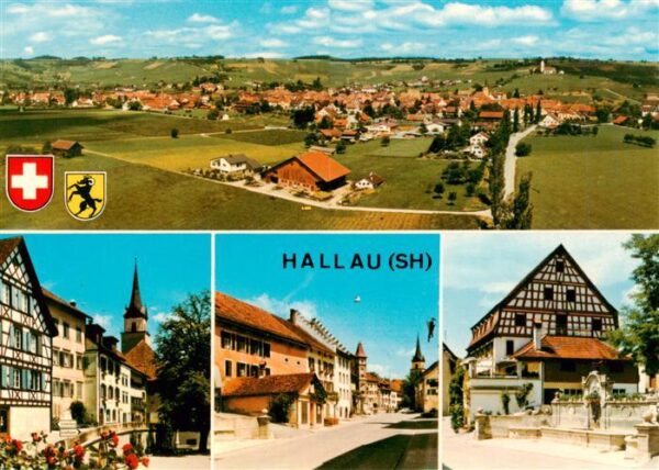 Hallau SH Panorama Ortspartien