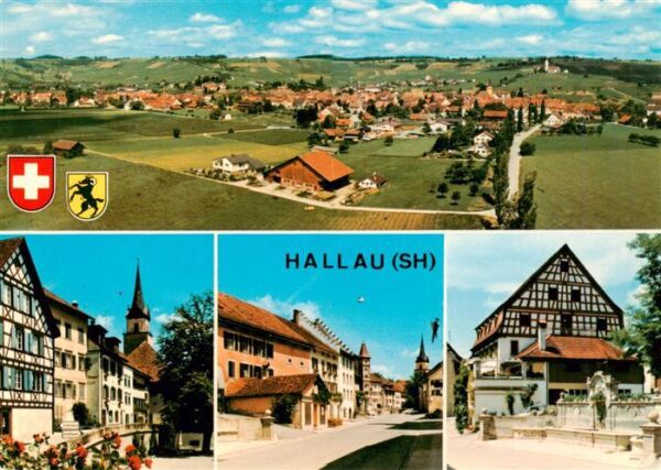 Hallau SH Panorama Ortspartien