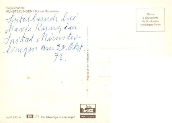 Muensterlingen TG Fliegeraufnahme mit Bodensee – Bild 2
