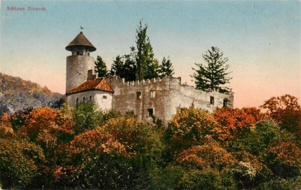 Birseck Schloss Birseck