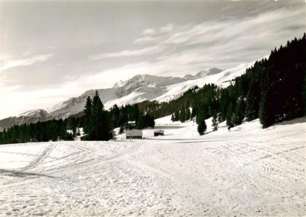 Brambrueesch Churwalden GR Blick zum Faulberg und Dreibündenstein