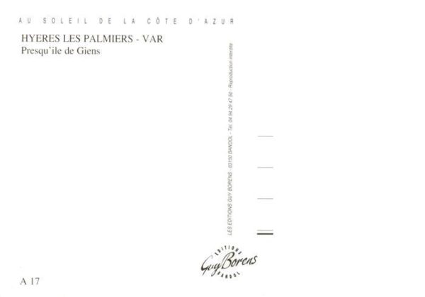 Presqu Ile-de-Giens 83 Var Hyeres les Palmier Vue aerienne – Bild 2